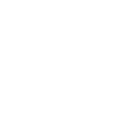 Ícone verificado